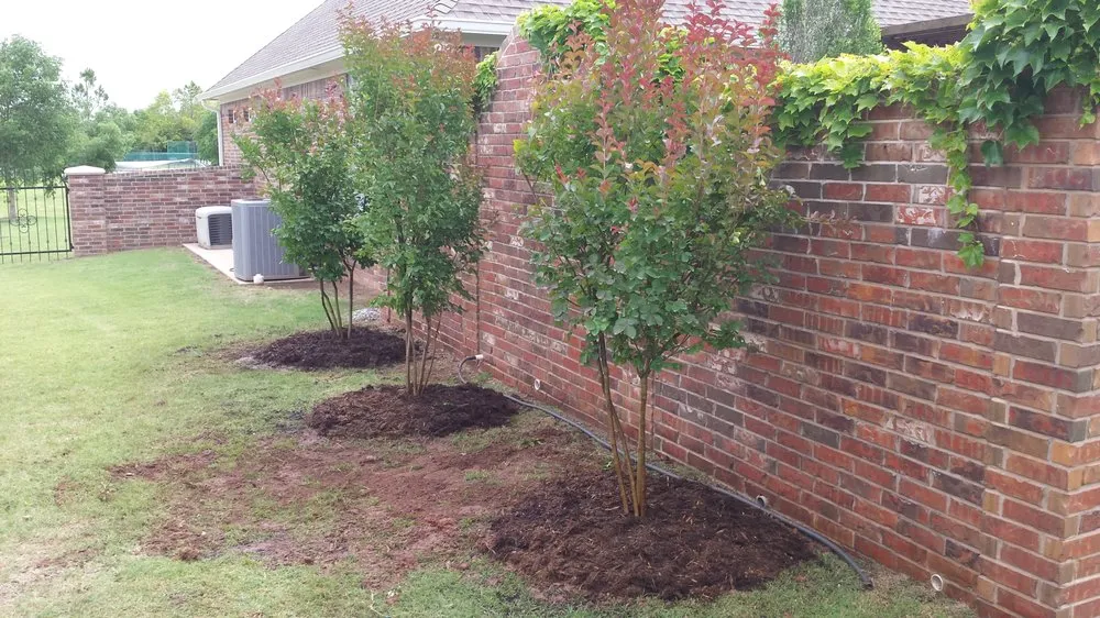 Expert lawn mowing service experts serving Oklahoma City, OK - Special T Landscaping