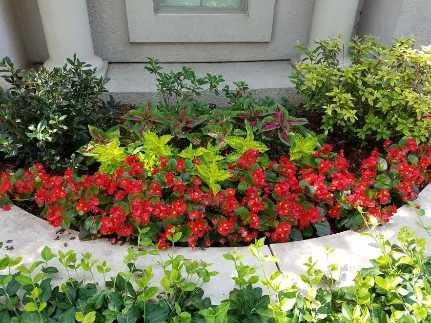 Top-rated yard maintenance in Oklahoma City, OK - Special T Landscaping