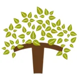 Custom lawn care service for beautiful yards in Oklahoma City, OK by Special T Landscaping