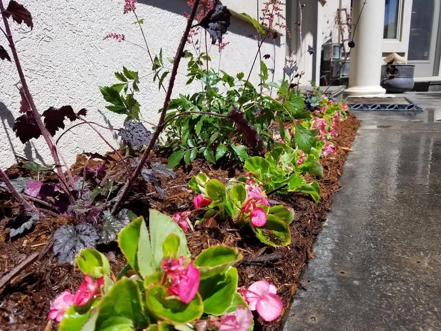 Professional yard cleanup service near you in Oklahoma City, OK by Special T Landscaping