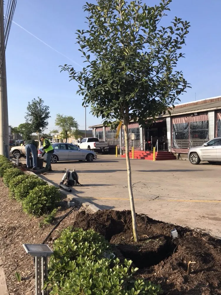 Affordable landscaping services for outdoor upgrades in Houston, TX by Special Touch Landscaping