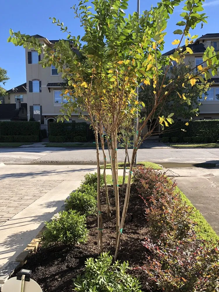 Top-rated garden landscaping with custom design across Houston, TX - Special Touch Landscaping