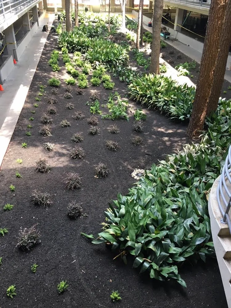 Local landscape design for homes in Houston, TX by Special Touch Landscaping