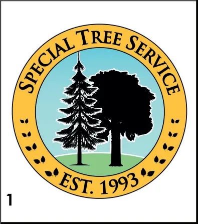 Local yard maintenance for outdoor upgrades in La Crescenta, CA by Special Tree Service