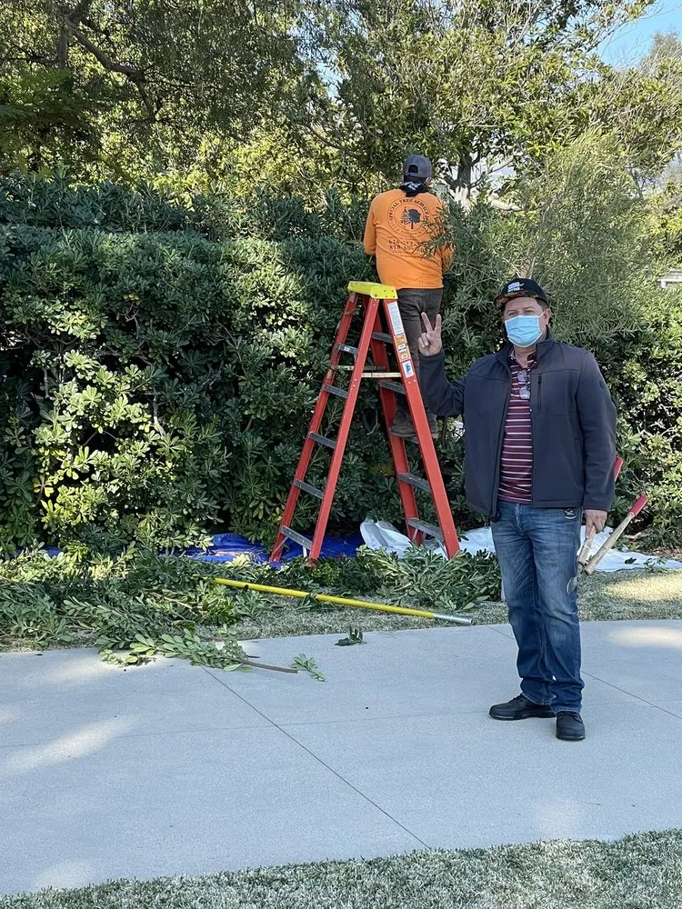 Custom yard cleanup service for residential properties in La Crescenta, CA by Special Tree Service