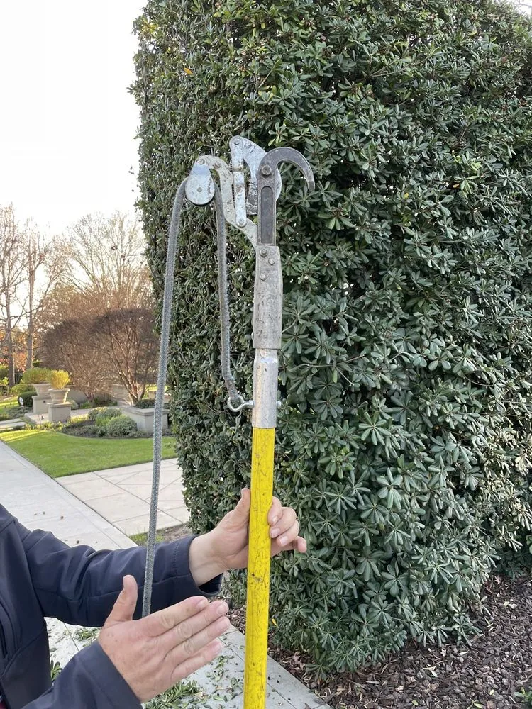 Reliable landscape installation in La Crescenta, CA - Special Tree Service