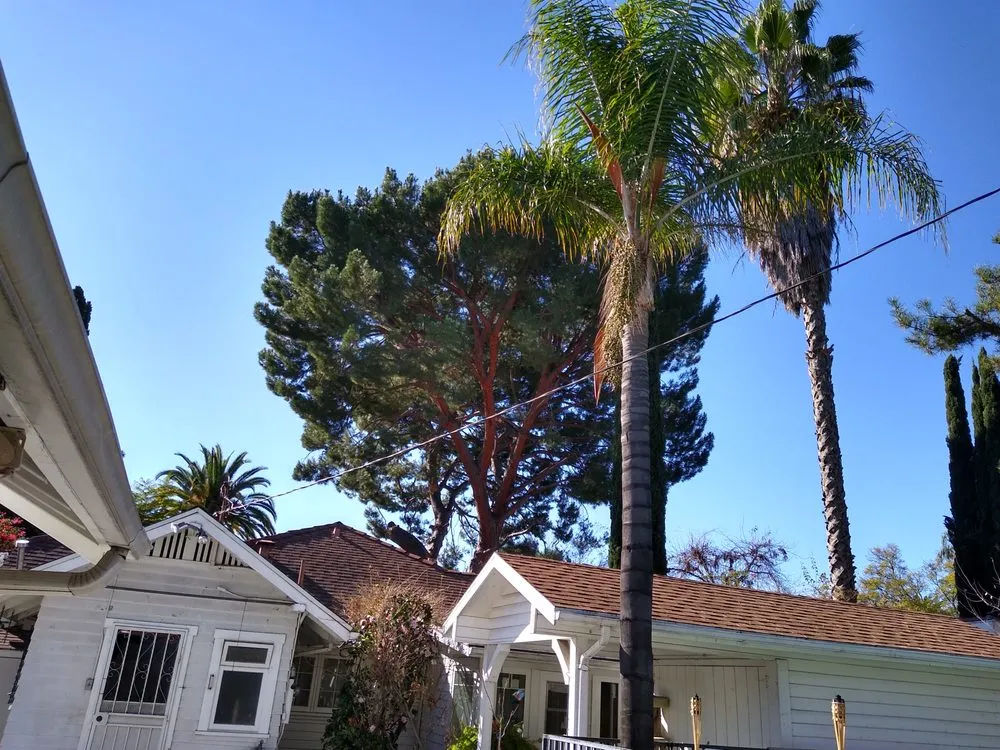 Expert garden landscaping in La Crescenta, CA by Special Tree Service