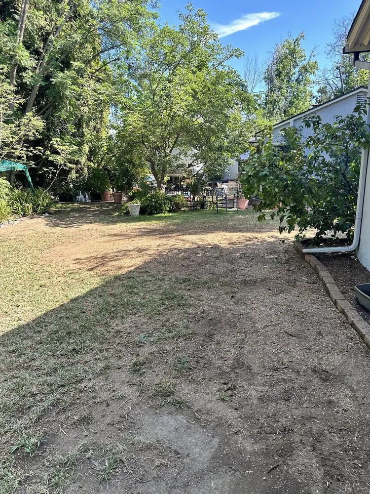 Top-rated yard maintenance for residential properties in La Crescenta, CA by Special Tree Service