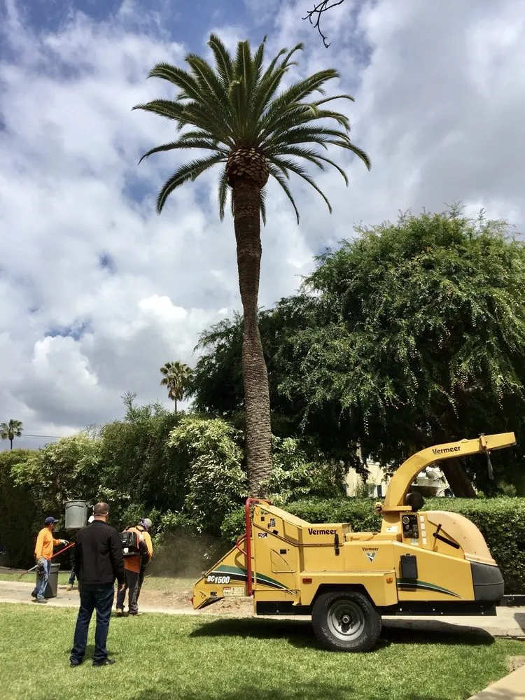 Trusted garden landscaping in La Crescenta, CA - Special Tree Service
