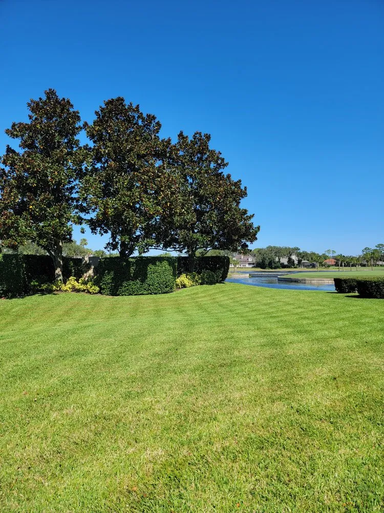 Local yard maintenance for year-round maintenance across Green Cove Springs, FL - Specialized Landscape and Maintenance