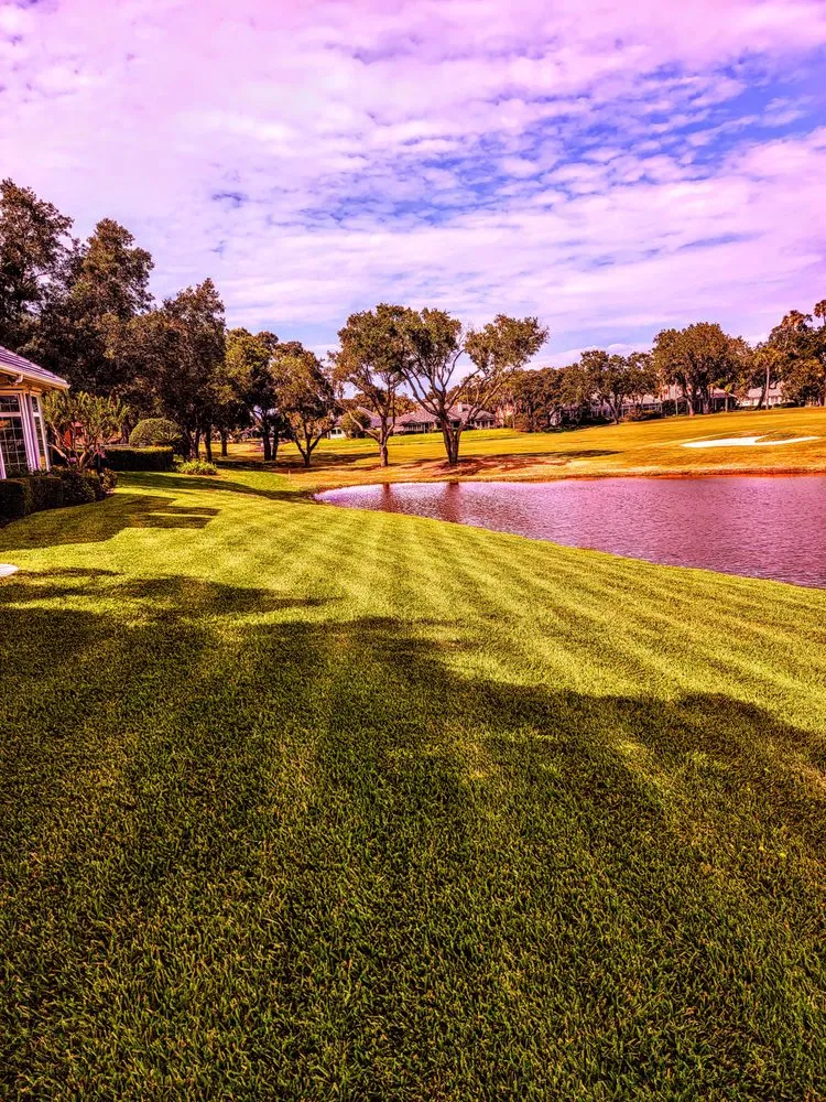 Reliable yard cleanup service for residential properties in Green Cove Springs, FL by Specialized Landscape and Maintenance