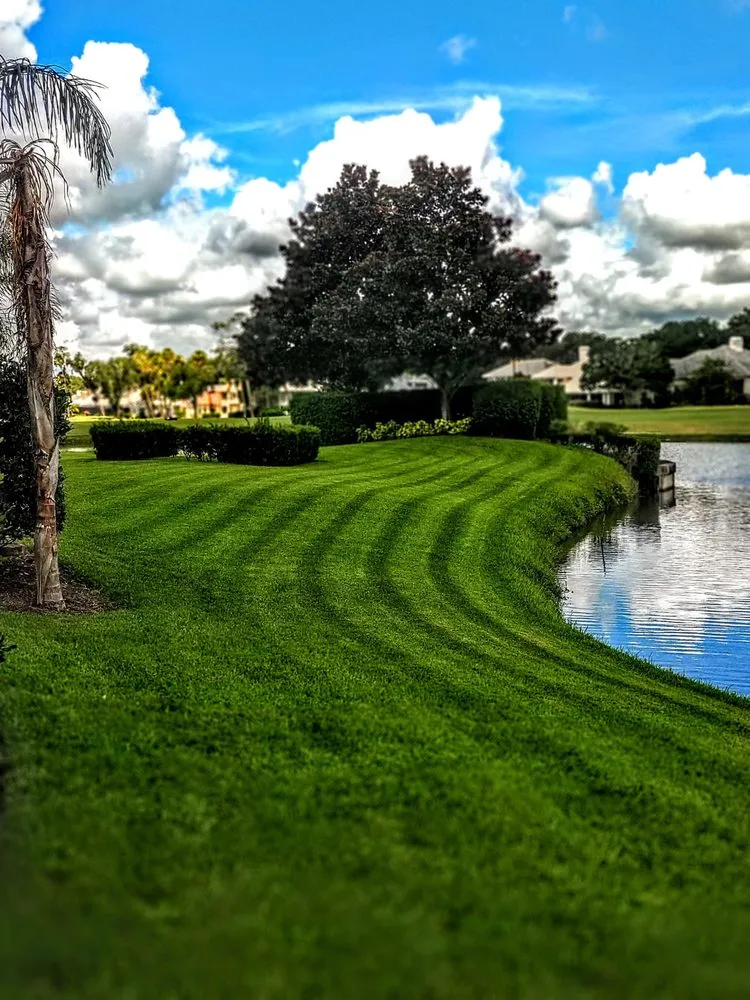 Affordable yard maintenance experts serving Green Cove Springs, FL - Specialized Landscape and Maintenance