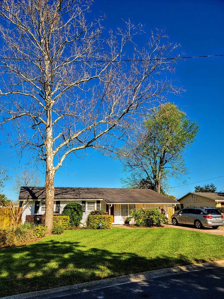 Reliable landscape design near you across Green Cove Springs, FL - Specialized Landscape and Maintenance