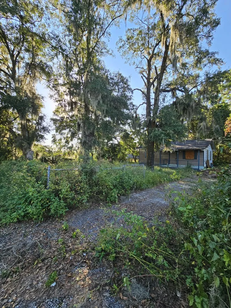 Reliable residential landscaping for beautiful yards across Green Cove Springs, FL - Specialized Landscape and Maintenance