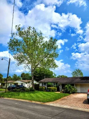 Specialized Landscape and Maintenance