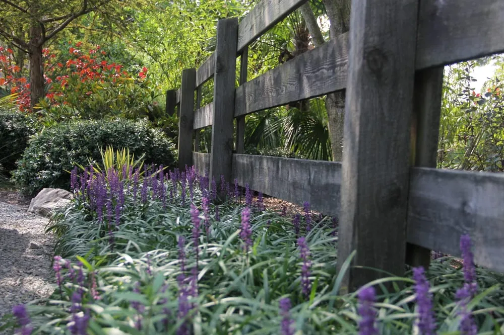 Local residential landscaping for year-round maintenance across Pittsboro, NC - Specialized Landscape Services