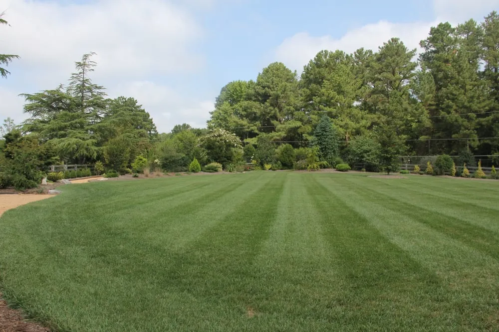Local landscaping services experts serving Pittsboro, NC - Specialized Landscape Services