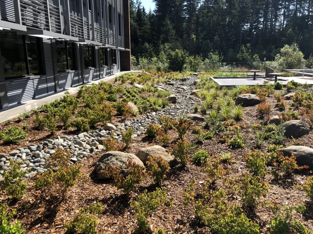 Reliable yard maintenance experts serving Tacoma, WA - Specialized Landscaping