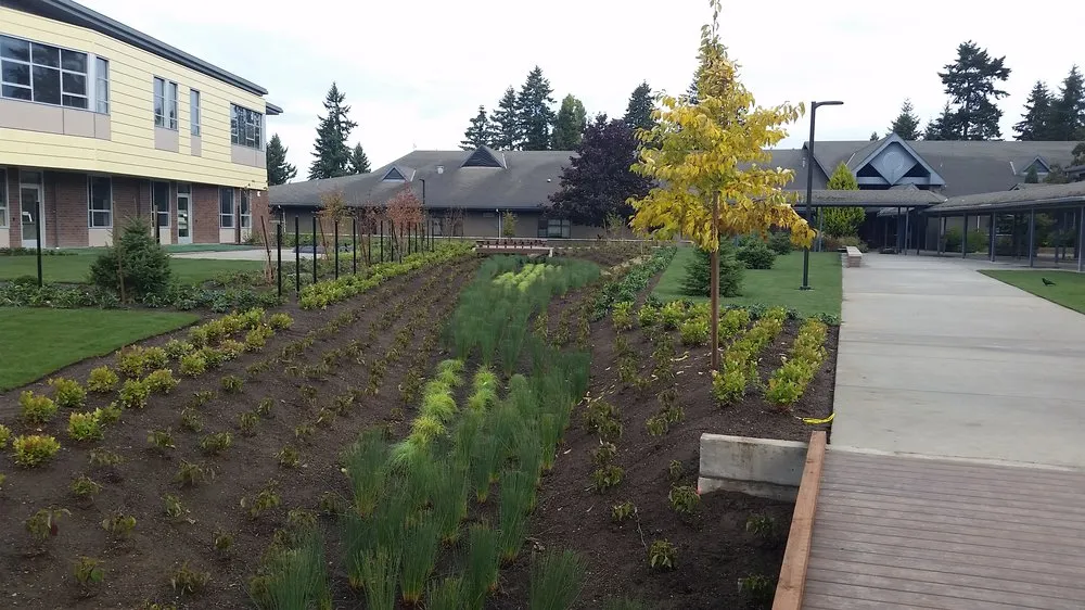 Affordable landscape design in Tacoma, WA - Specialized Landscaping