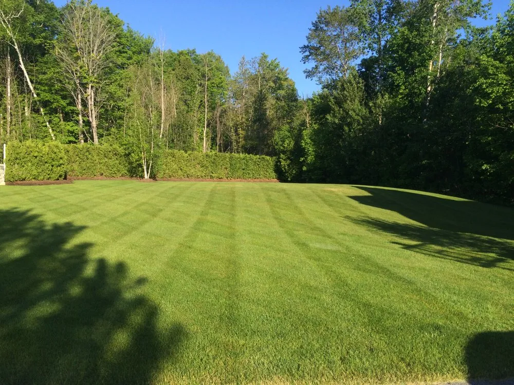 Custom yard cleanup service for homes in Indian River, MI by Specialized Lawn Care