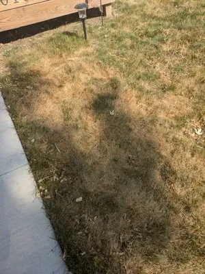 Specialized Property Care Logo