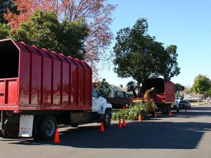 Expert yard maintenance in Orange, CA by Specialized Tree Care & Landscape