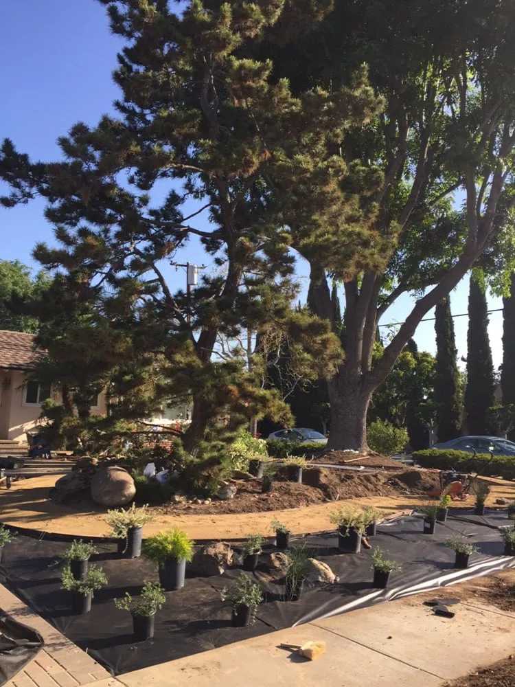 Reliable landscape installation in Orange, CA by Specialized Tree Care & Landscape