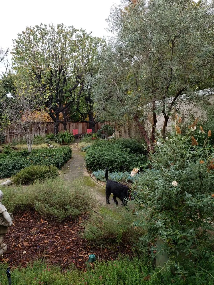 Reliable outdoor landscaping in Orange, CA - Specialized Tree Care & Landscape