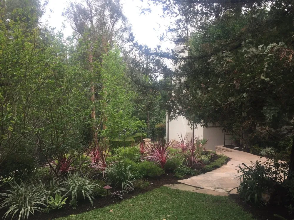 Expert yard cleanup service for beautiful yards across Orange, CA - Specialized Tree Care & Landscape