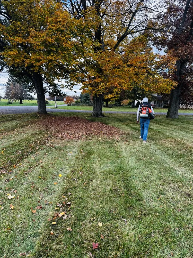 Trusted residential landscaping for residential properties in South Bend, IN by Specialties Landscaping and Design