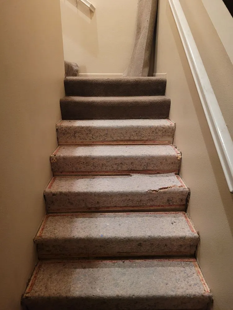 Professional yard maintenance in Riverside, CA - Specialty Builders