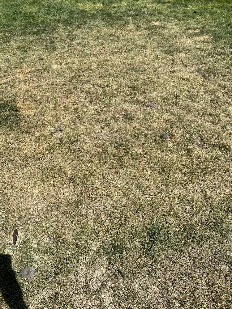 Top-rated lawn mowing service for residential properties across Ogden, UT - Specialty Landscape