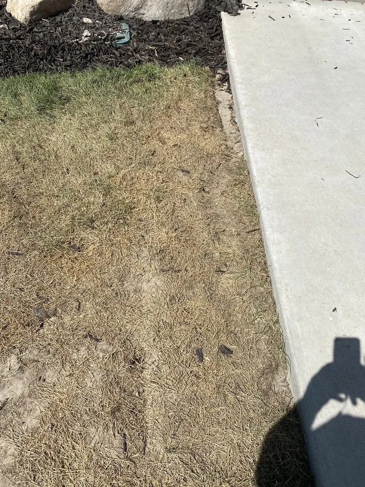 Expert landscape installation in Ogden, UT by Specialty Landscape