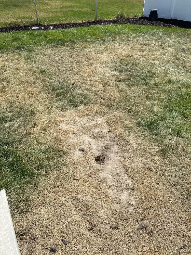 Custom lawn care service in Ogden, UT - Specialty Landscape