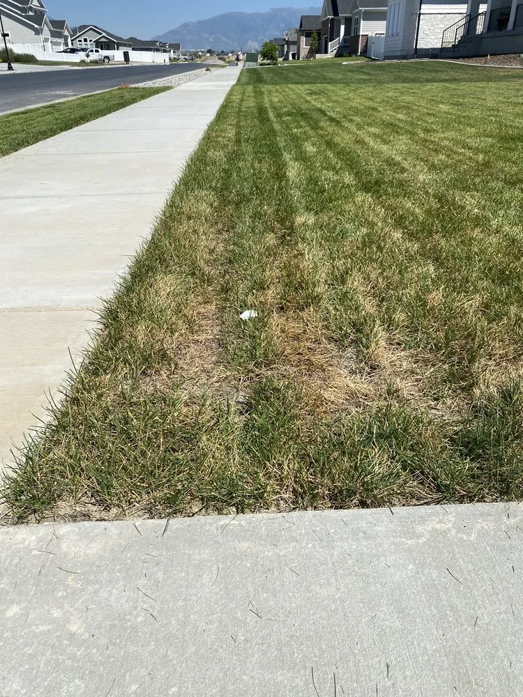 Local landscape design experts serving Ogden, UT - Specialty Landscape