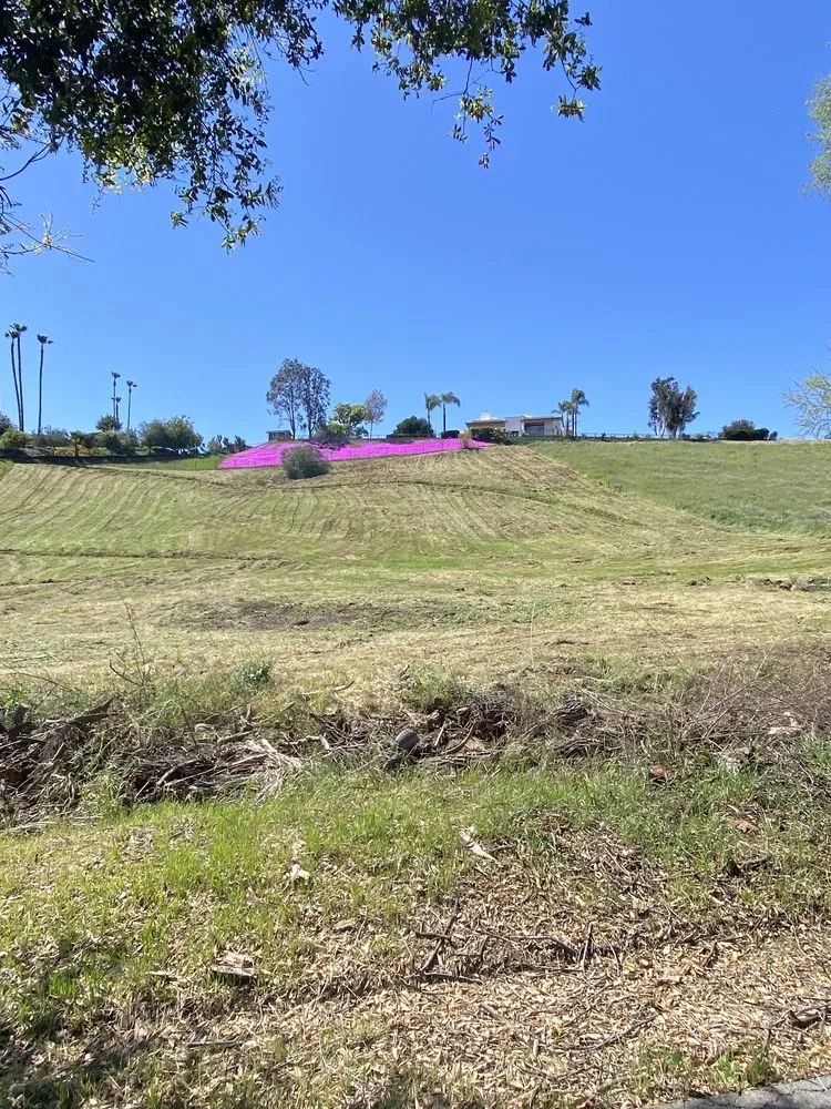 Custom yard cleanup service for outdoor upgrades in Fallbrook, CA by Specialty Mowing Services