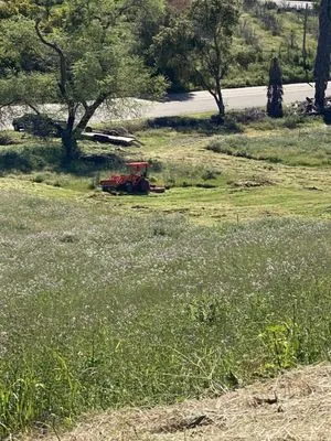 Specialty Mowing Services Logo