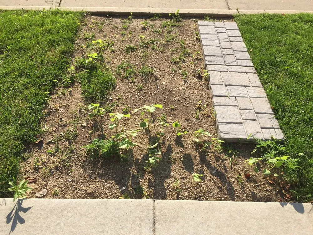 Affordable outdoor landscaping in Middleton, WI - Specialty Mulching of Middleton