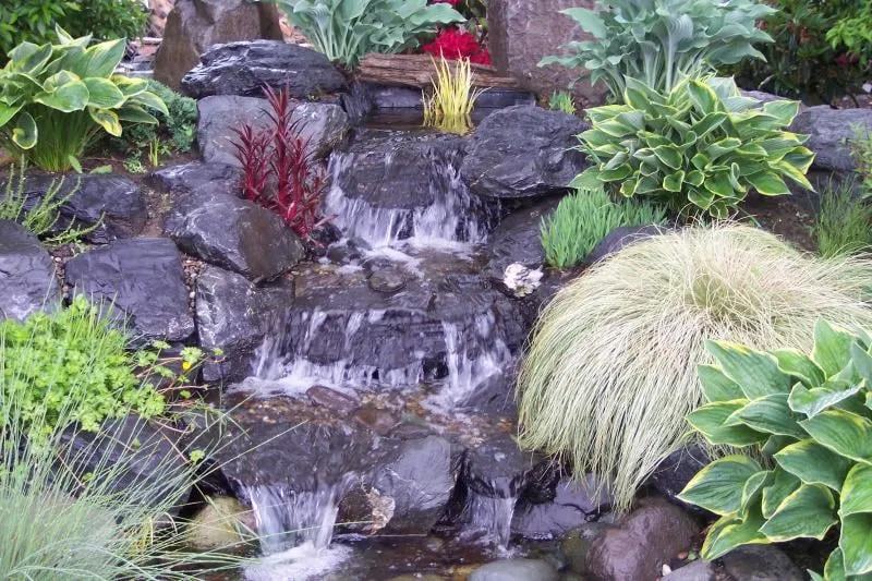 Local landscape design for residential properties in Renton, WA by Specialty Ponds NW