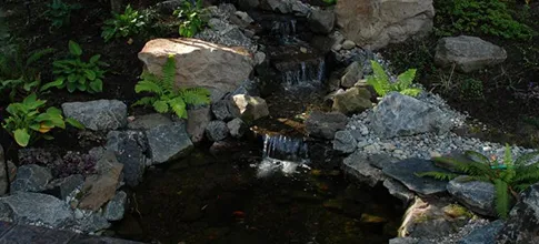 Affordable landscape design for residential properties across Renton, WA - Specialty Ponds NW