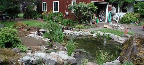 Top-rated yard cleanup service in Renton, WA by Specialty Ponds NW