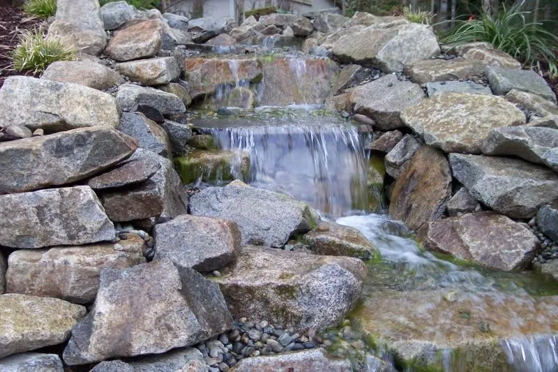 Custom lawn care service experts serving Renton, WA - Specialty Ponds NW