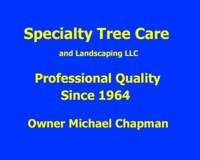 Expert landscape design for beautiful yards in Daytona Beach, FL by Specialty Tree Care
