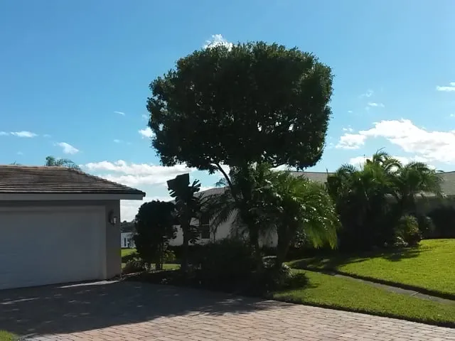 Professional garden landscaping experts serving Daytona Beach, FL - Specialty Tree Care