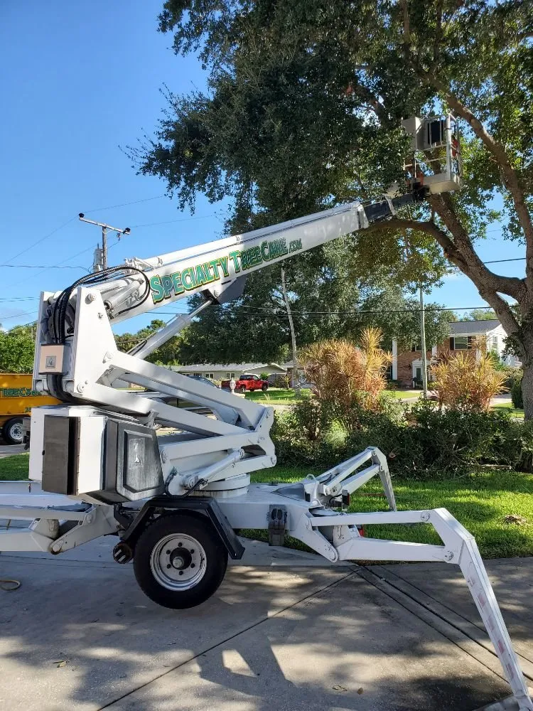 Custom yard cleanup service in Daytona Beach, FL by Specialty Tree Care