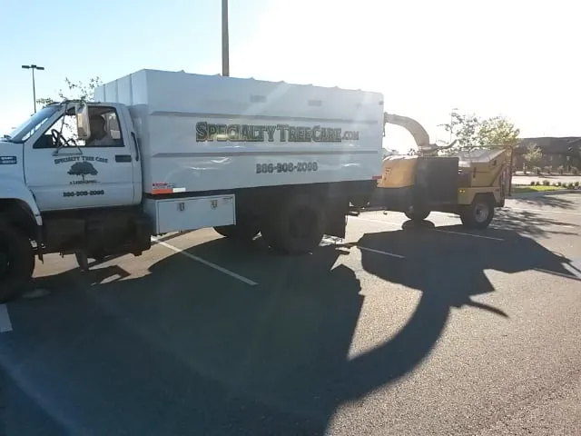 Affordable residential landscaping for beautiful yards across Daytona Beach, FL - Specialty Tree Care