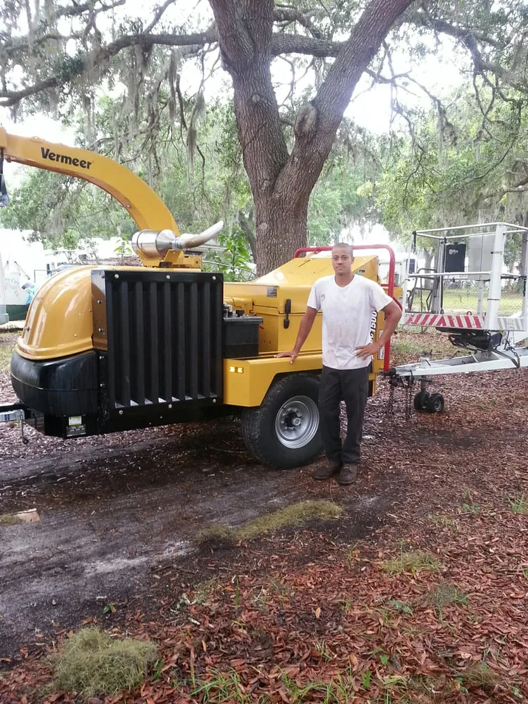 Affordable yard maintenance for homes across Daytona Beach, FL - Specialty Tree Care