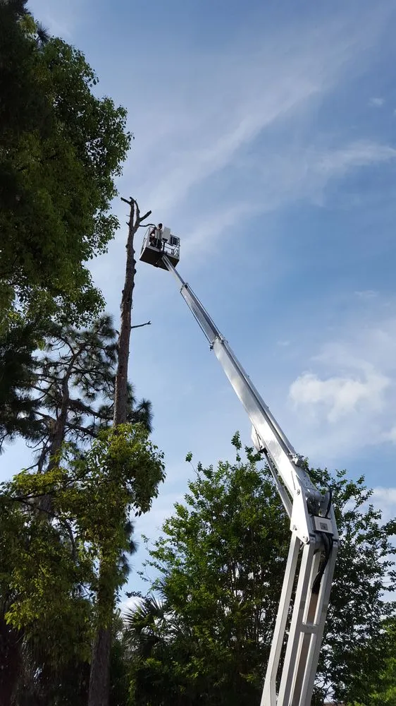 Reliable lawn mowing service for year-round maintenance across Daytona Beach, FL - Specialty Tree Care