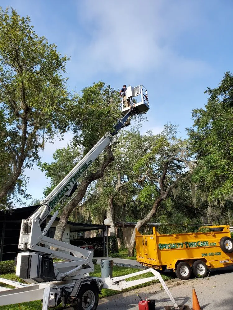 Custom garden landscaping for beautiful yards across Daytona Beach, FL - Specialty Tree Care