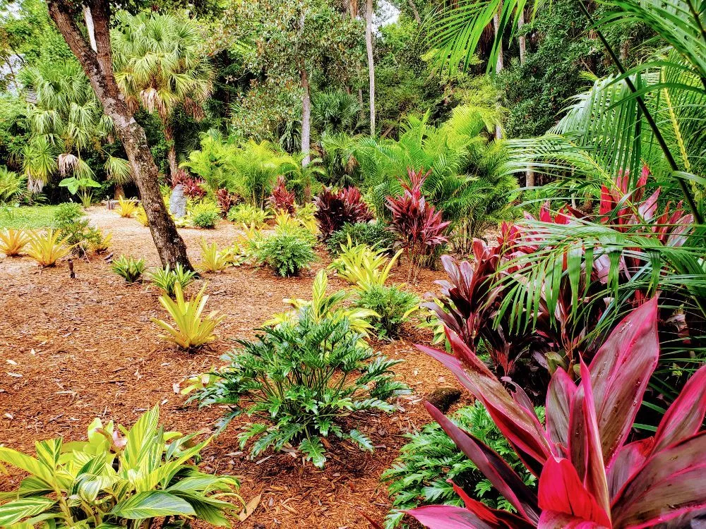 Affordable landscape design for year-round maintenance across Daytona Beach, FL - Specialty Tree Care